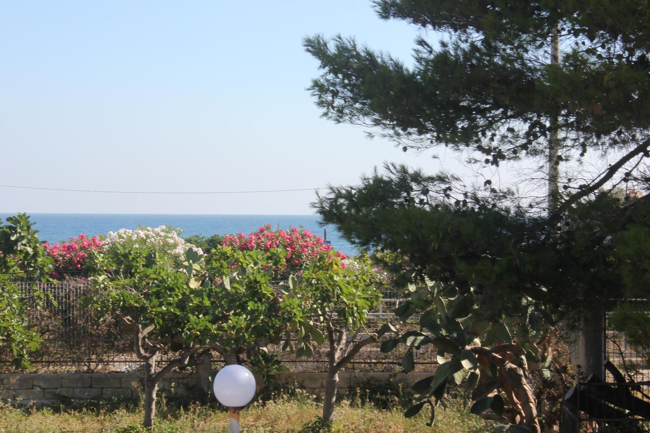 Trentatre Quarantatre Bed and Breakfast Mola di Bari Buitenkant foto